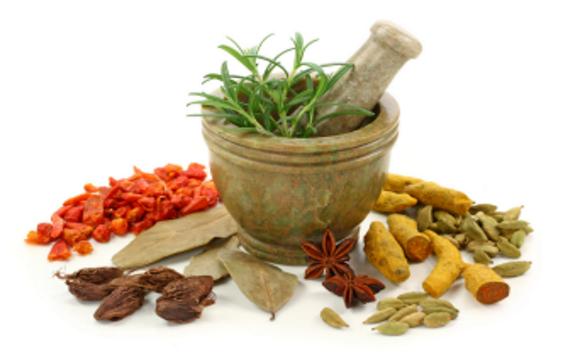 AYURVEDIC DOCTOR