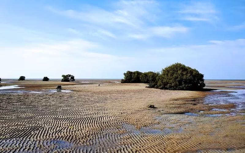 MARINE NATIONAL PARK, PIROTAN ISLAND JAMANGAR