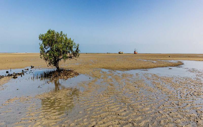 PIROTAN ISLAND JAMANGAR